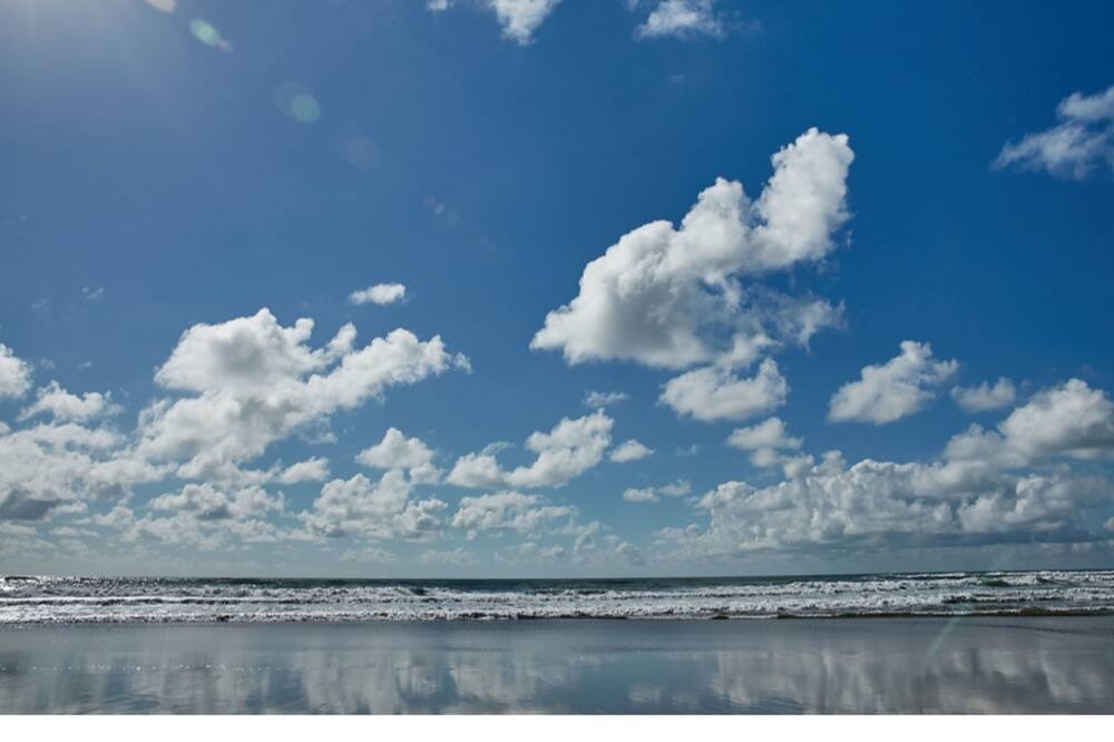 Photo of Others in Bude