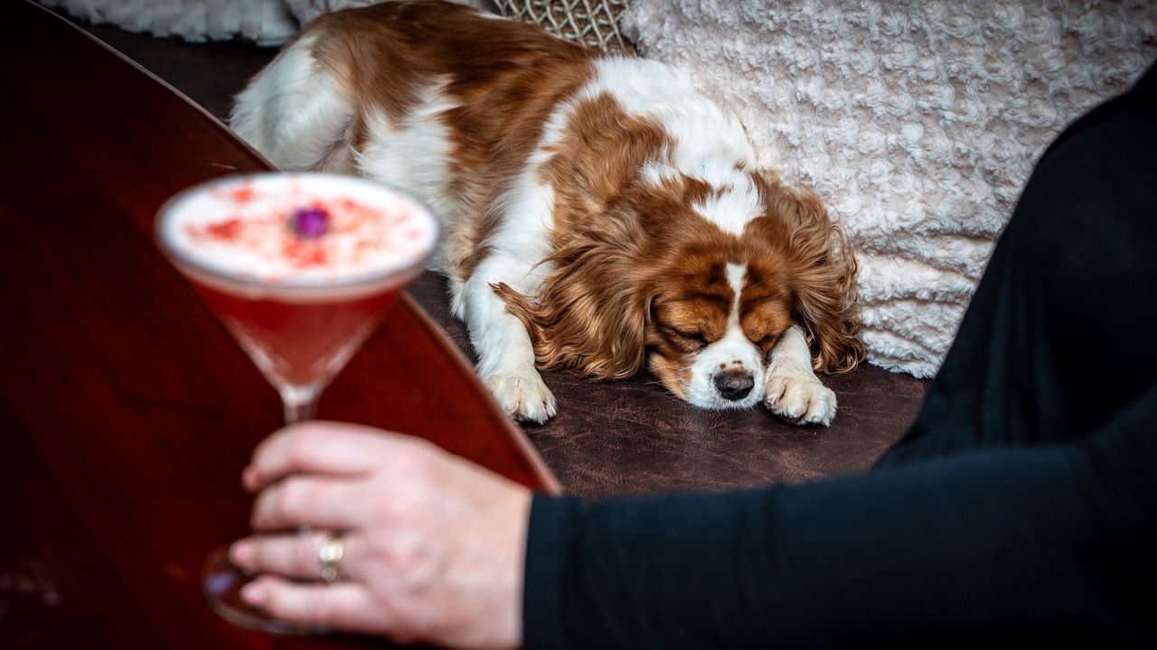 Photo of Others in Chilham