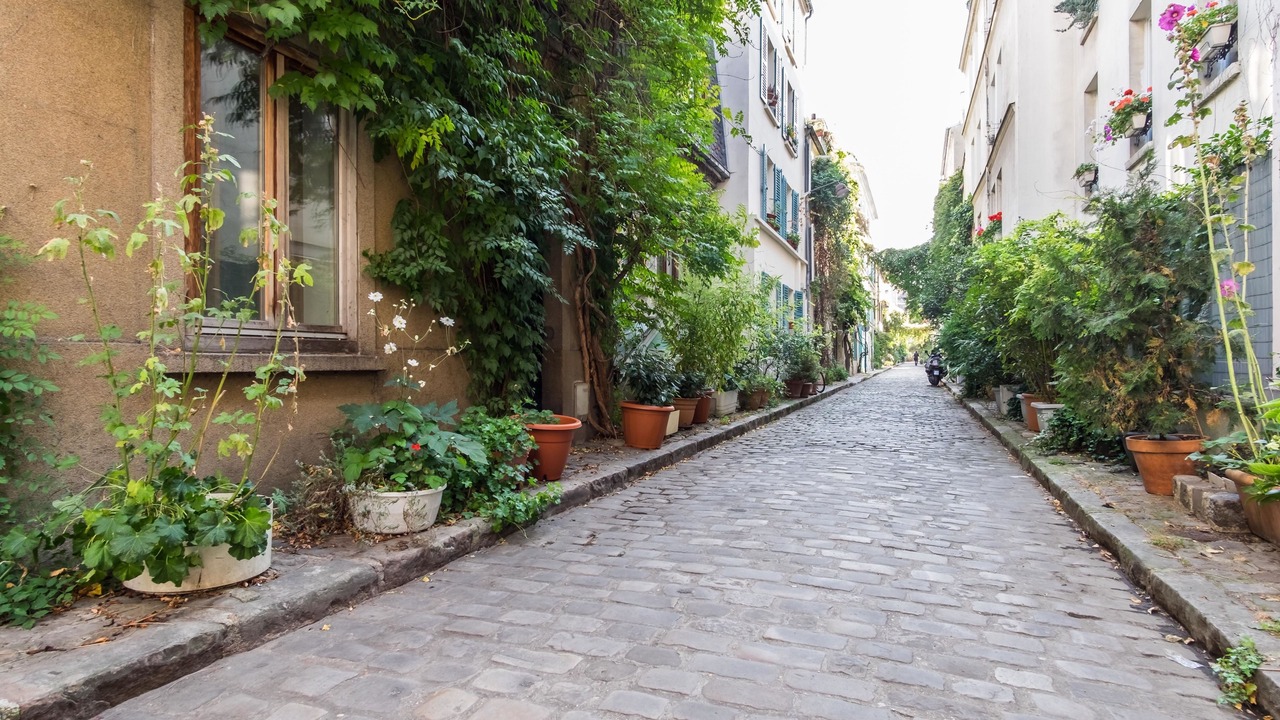 Photo of Outdoor in Plaisance