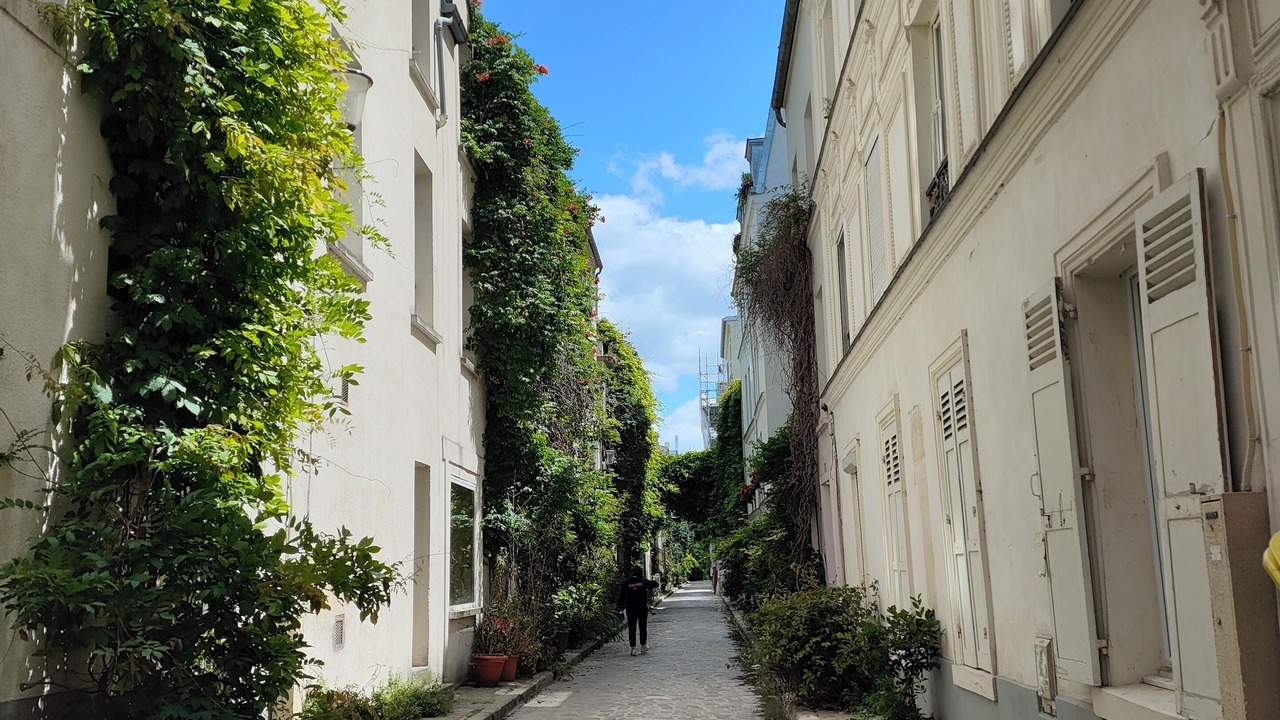 Photo of Others in Plaisance