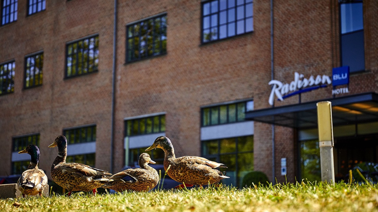 Photo of Outdoor in Silkeborg