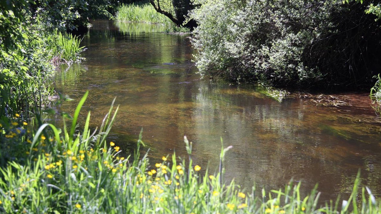 Photo of Outdoor in Hovborg