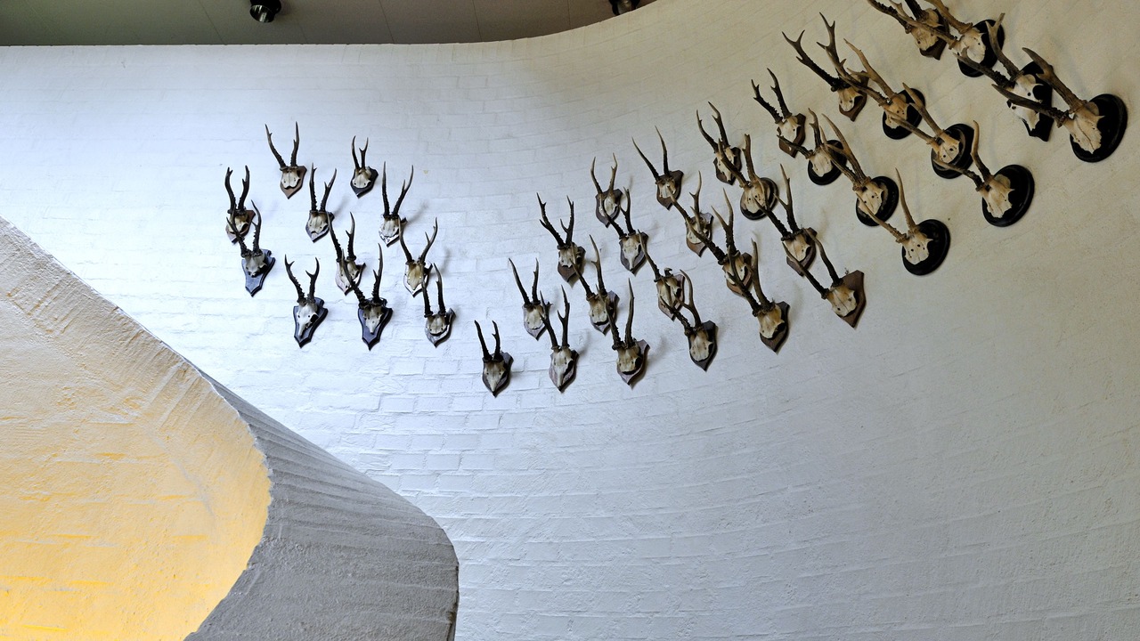 Photo of Others in Tylstrup