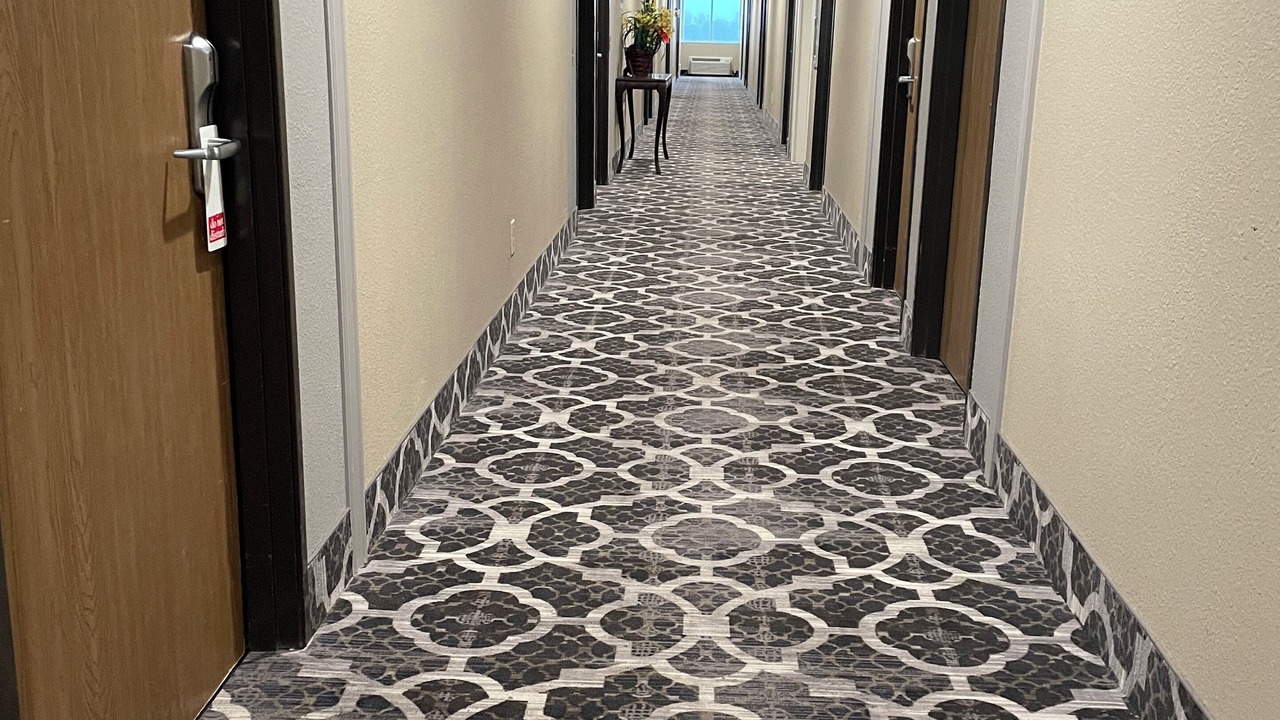 Photo of Others in Dixon