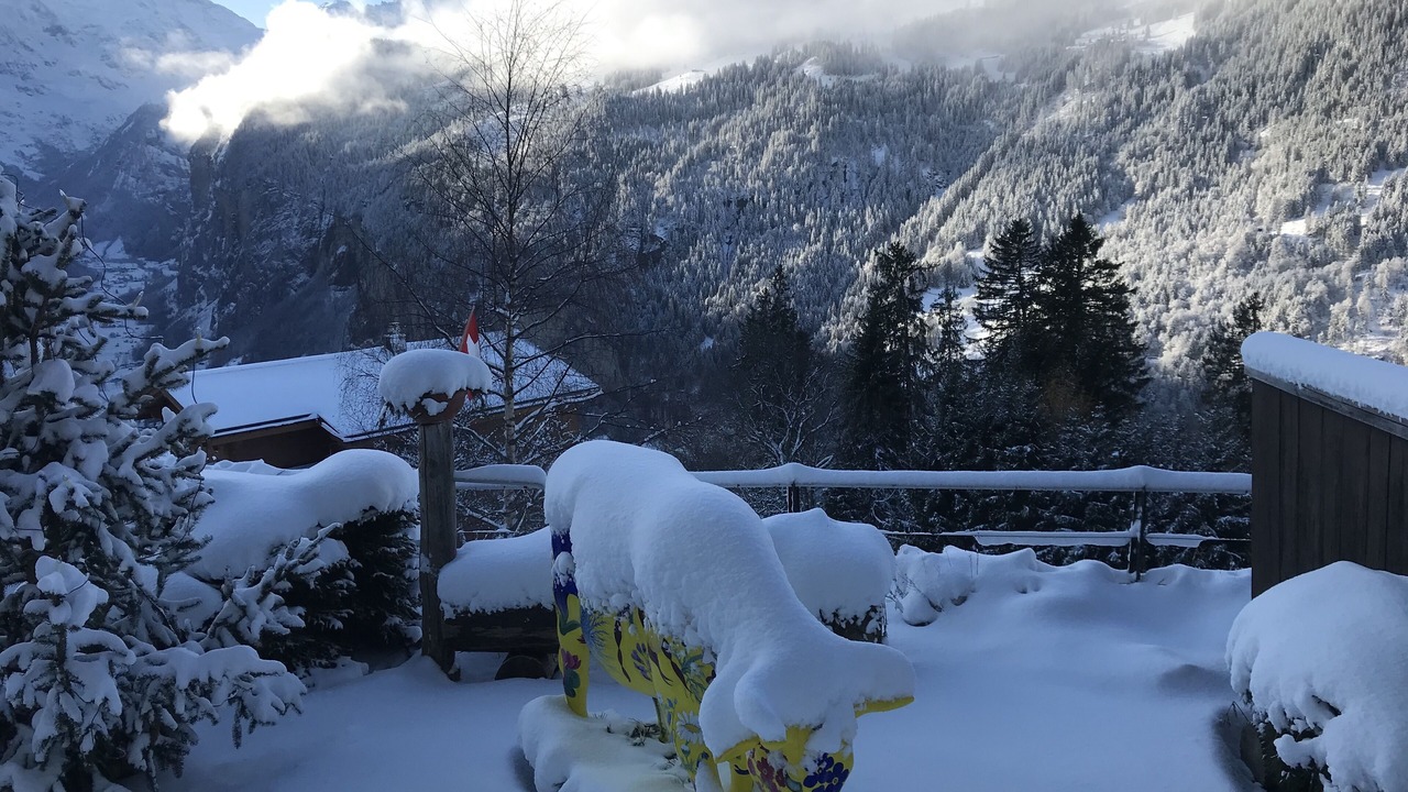 Photo of Outdoor in Wengen
