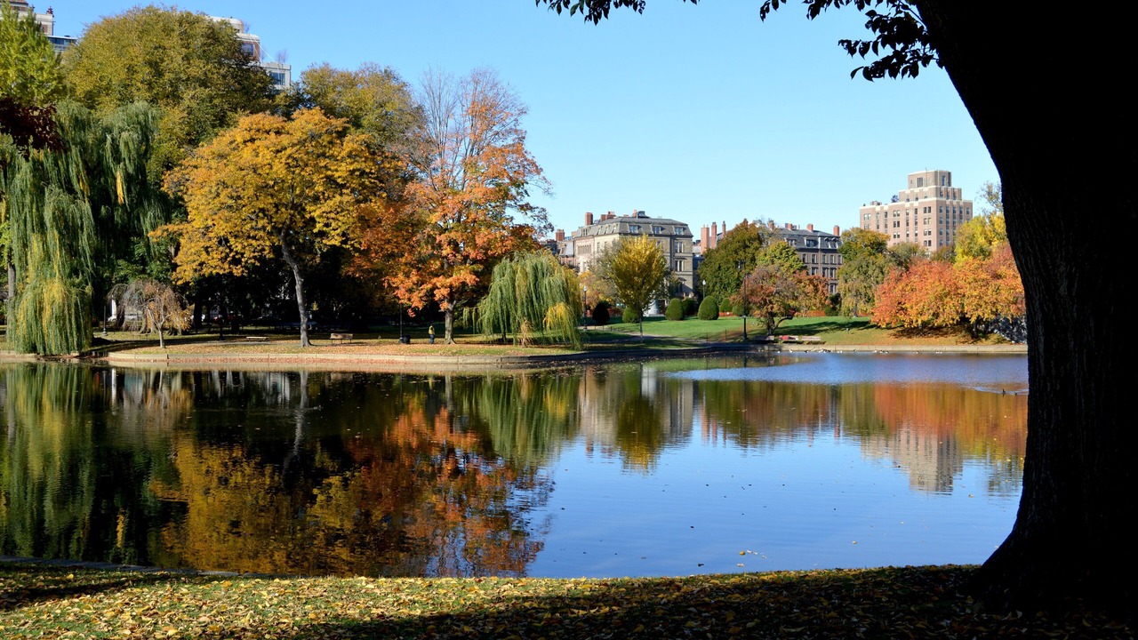 Photo of Others in East Cambridge