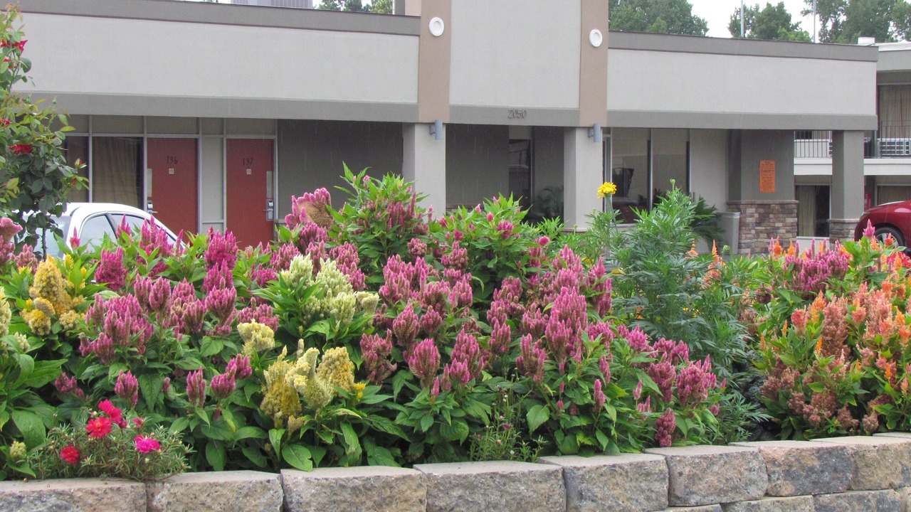 Photo of Buildings in Augusta