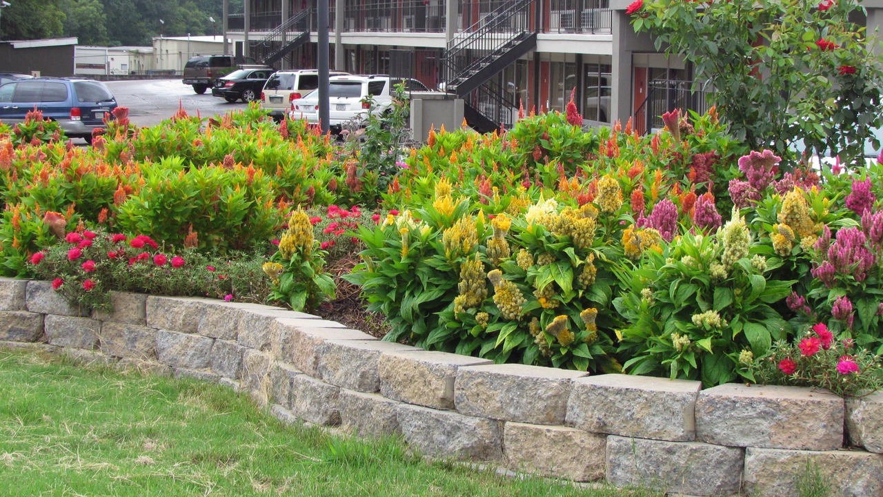 Photo of Outdoor in Augusta