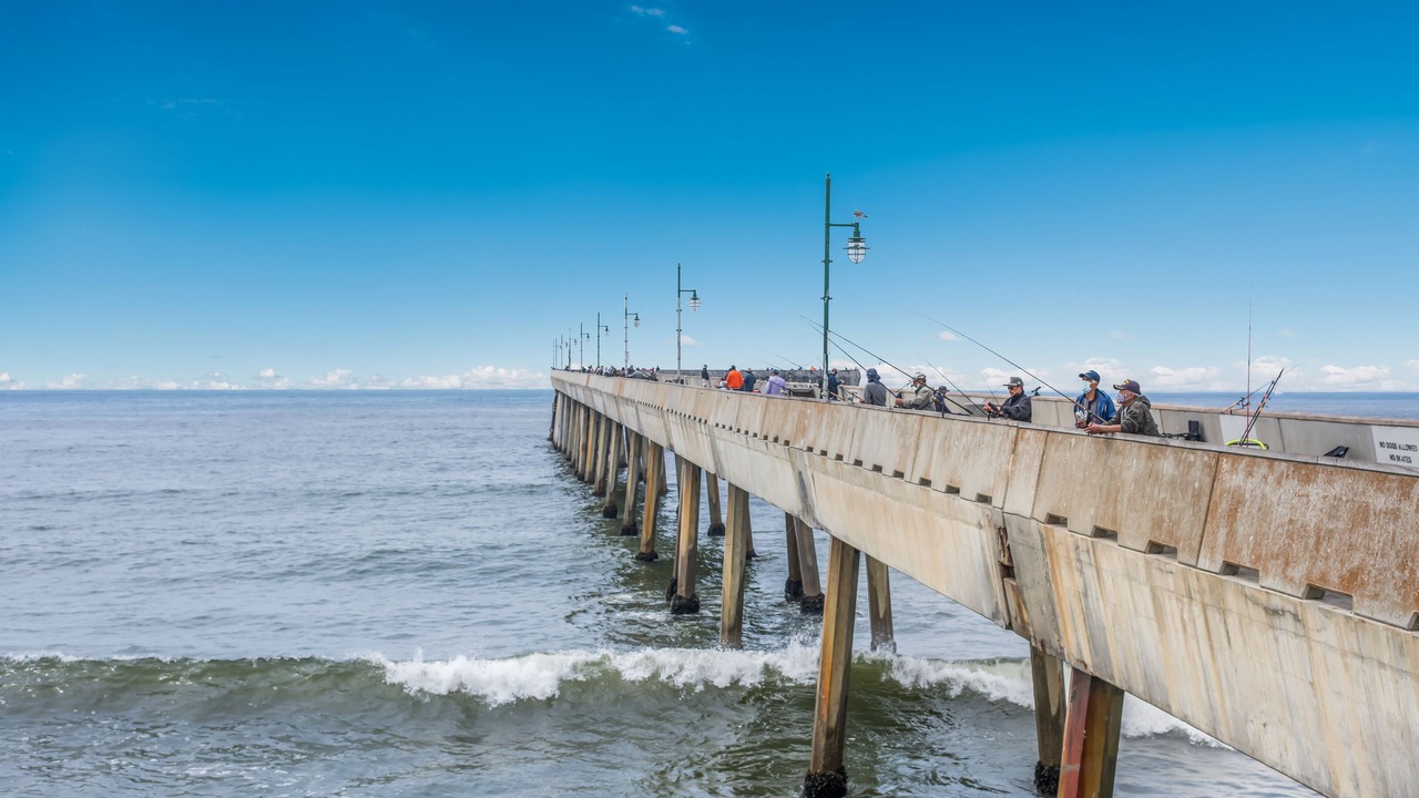 Photo of Others in Sharp Park