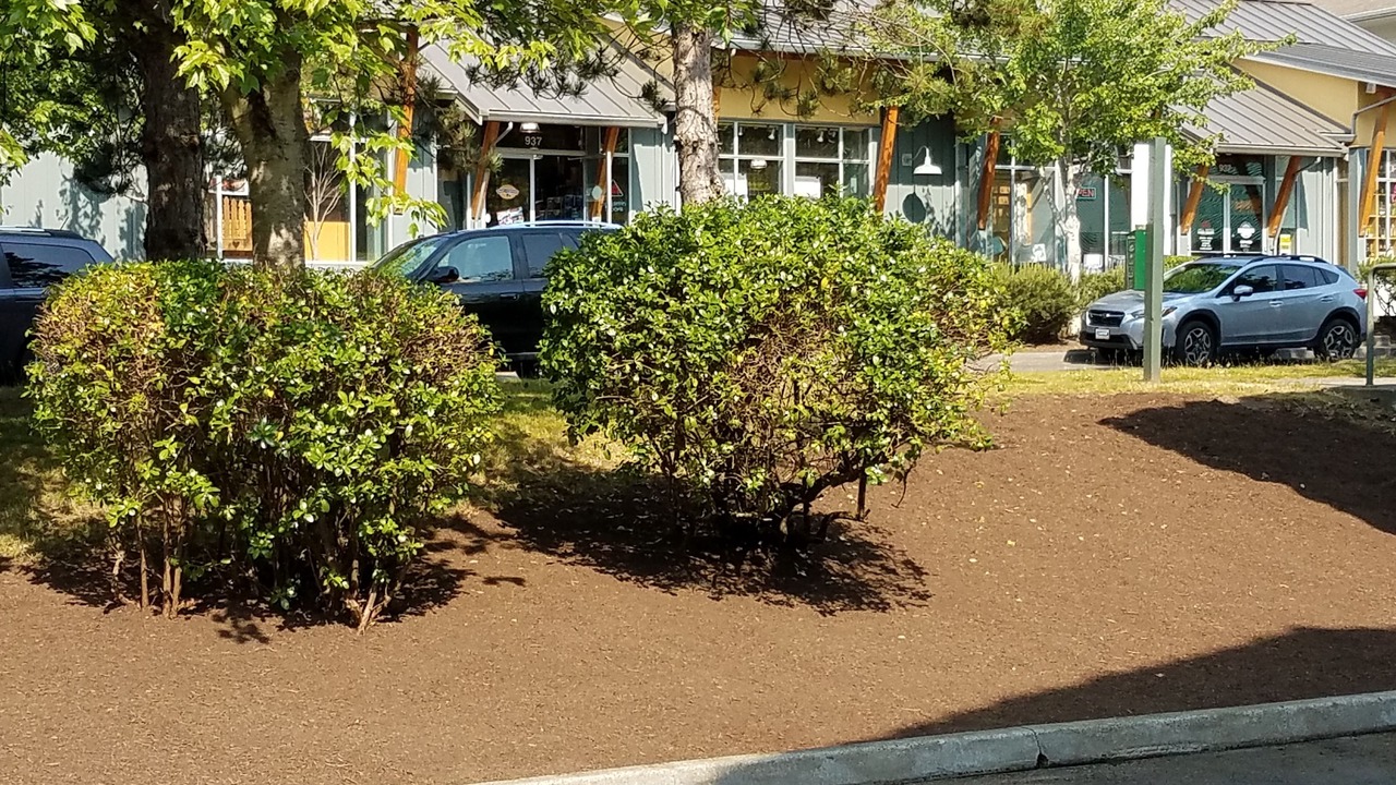 Photo of Outdoor in Bainbridge Island