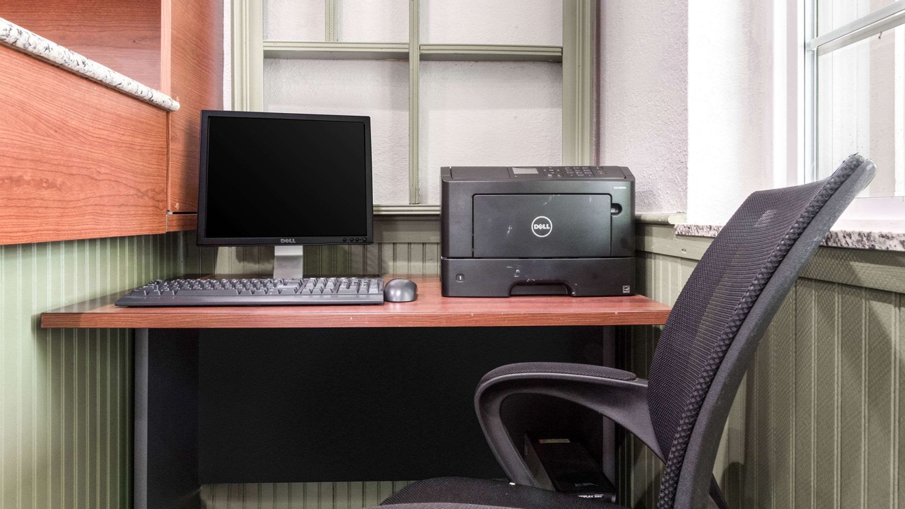 Photo of Others in Bainbridge Island