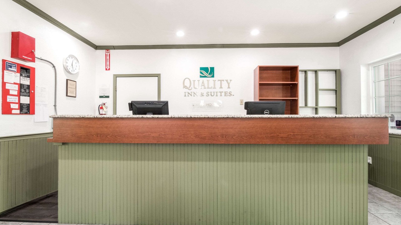 Photo of Others in Bainbridge Island