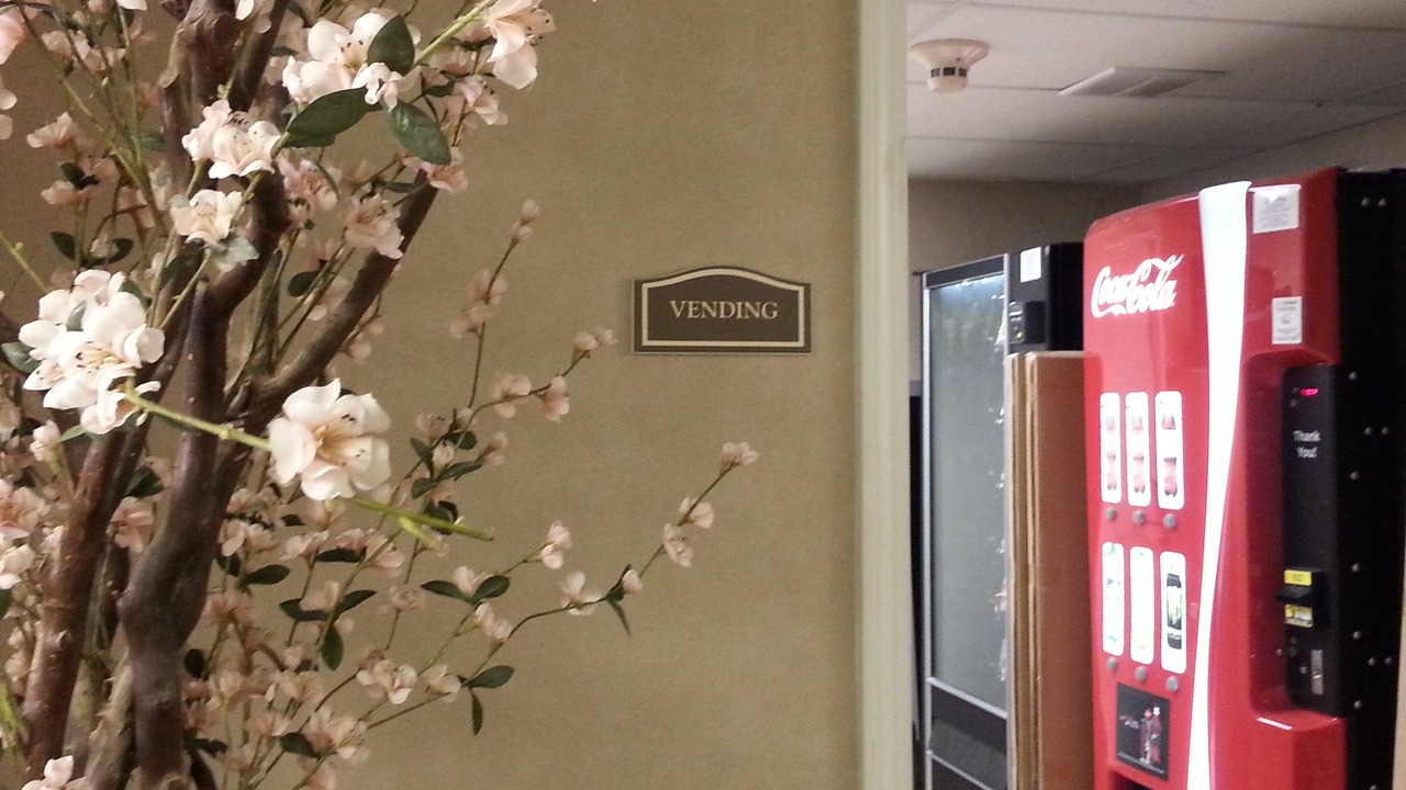 Photo of Others in Las Lomas