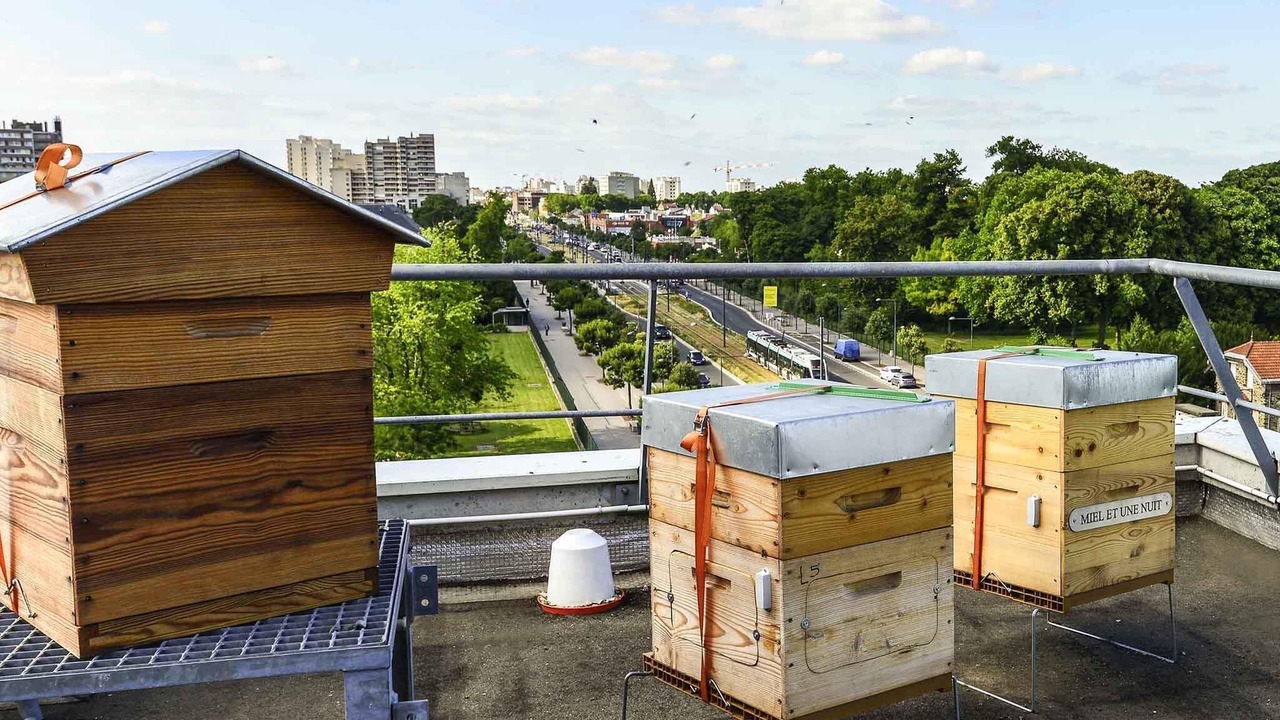 Photo of Others in Chevilly-Larue