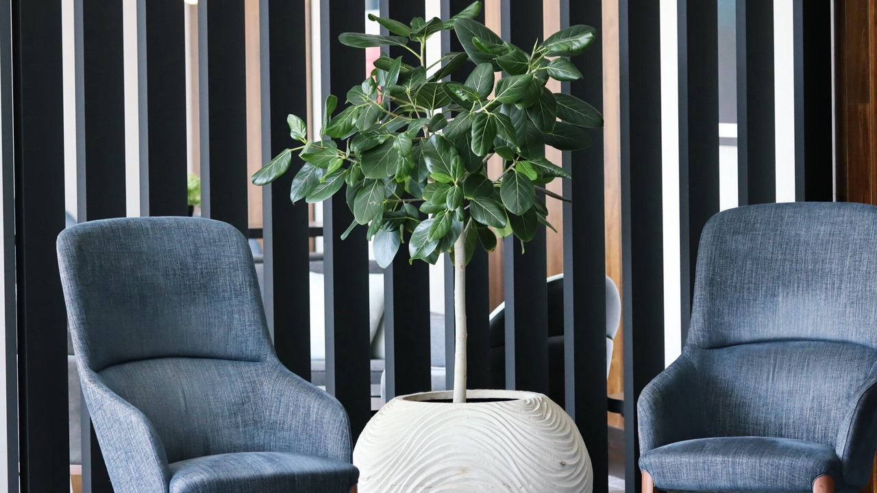 Photo of Outdoor in Marlow