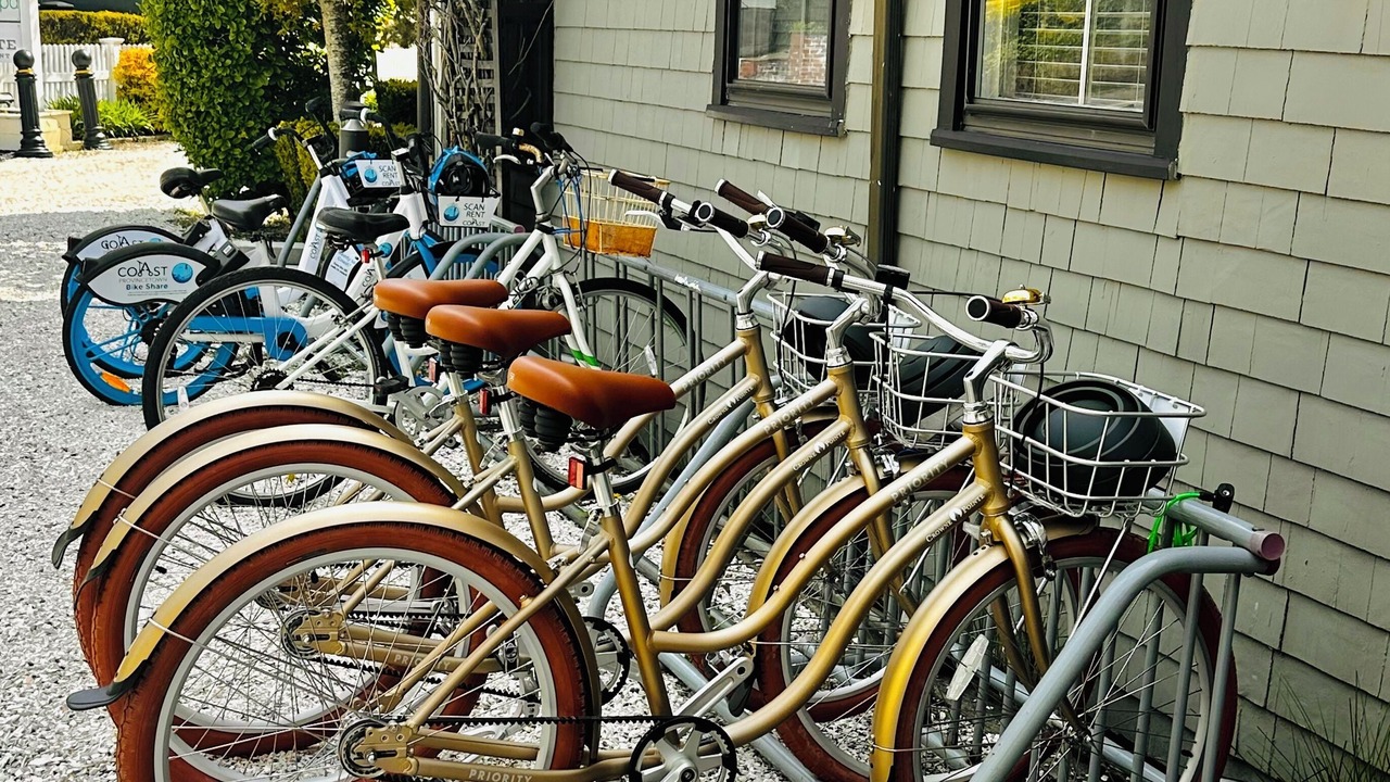 Photo of Outdoor in Provincetown