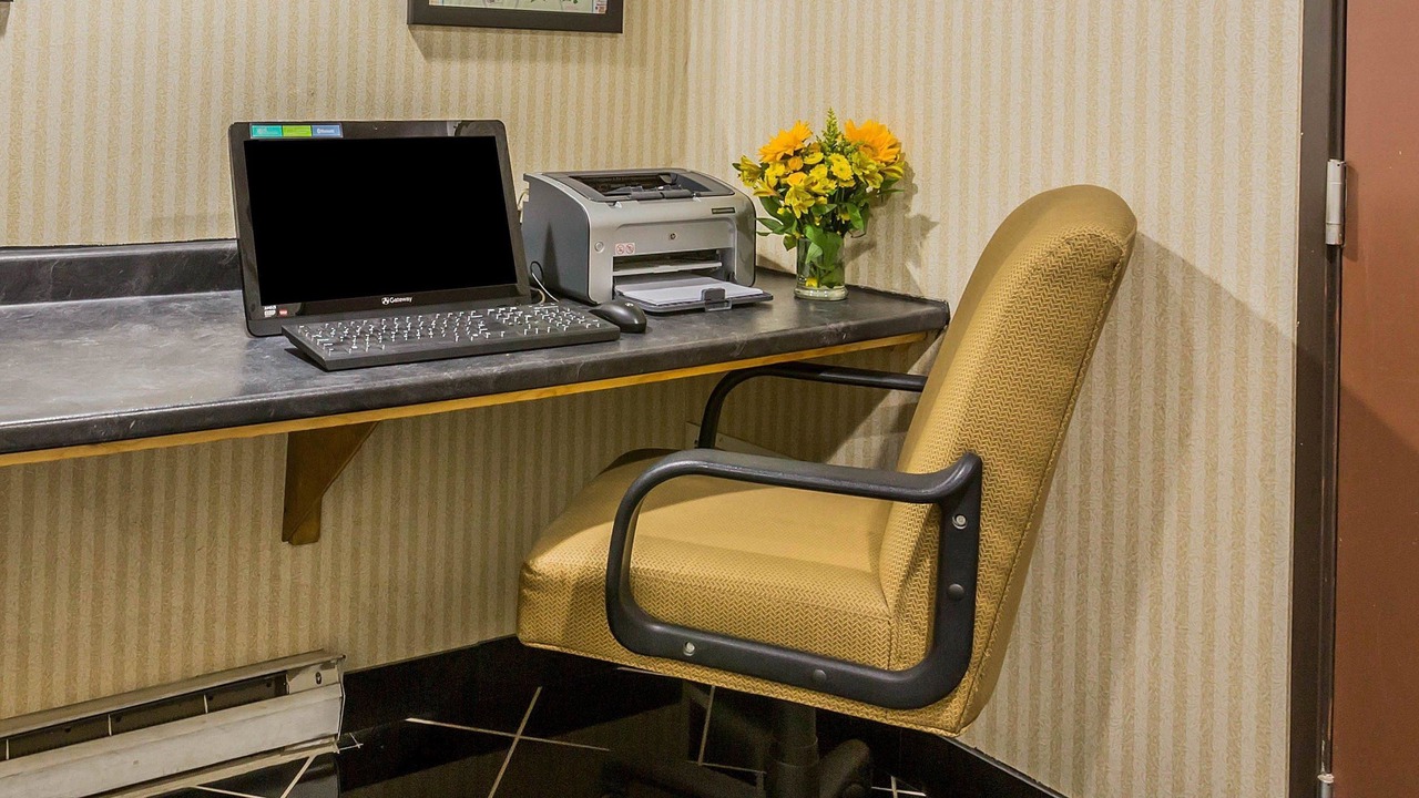 Photo of Others in Hyde Park