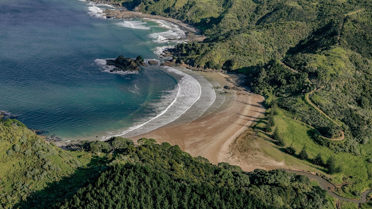 Photo of Others in Matauri Bay