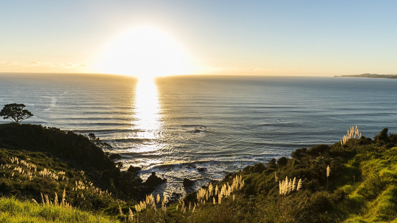 Photo of Others in Matauri Bay