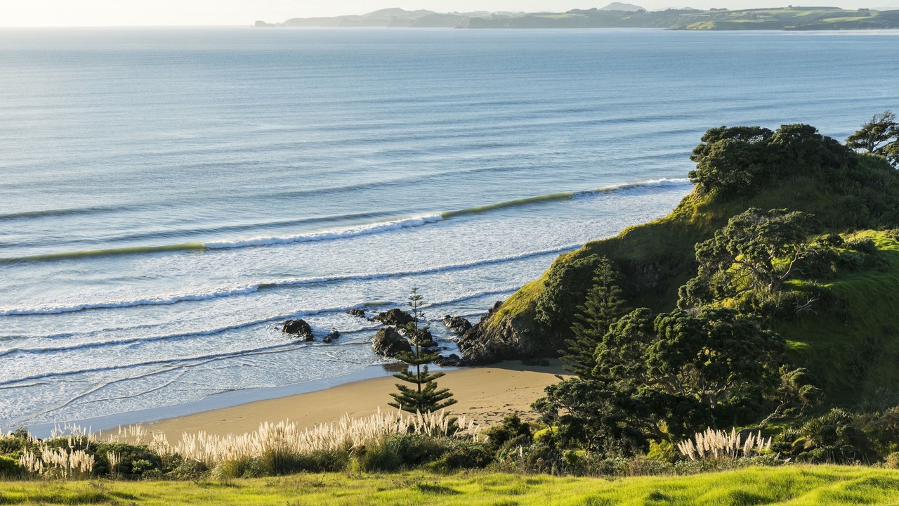 Photo of Others in Matauri Bay