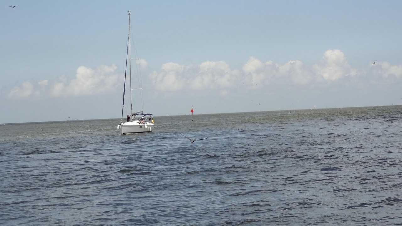Photo of Others in Clear Lake Shores