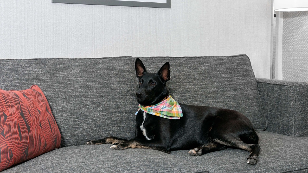 Photo of Others in Billerica