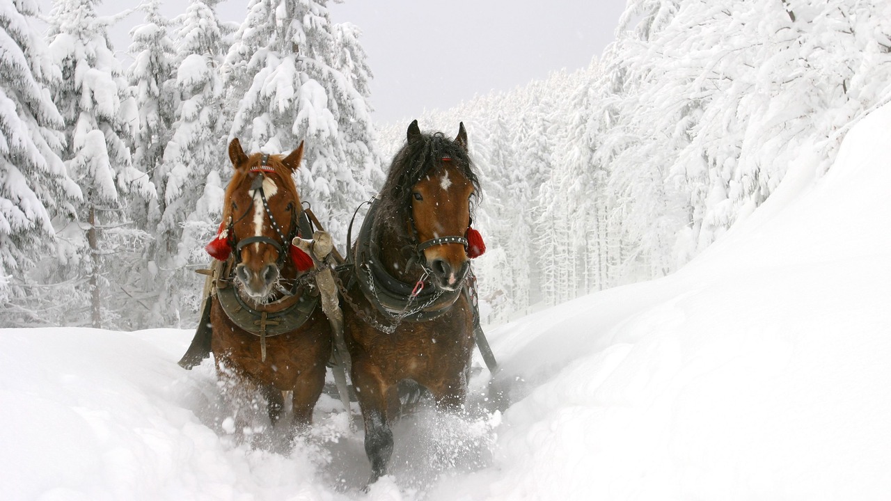 Photo of Others in Mont-Tremblant