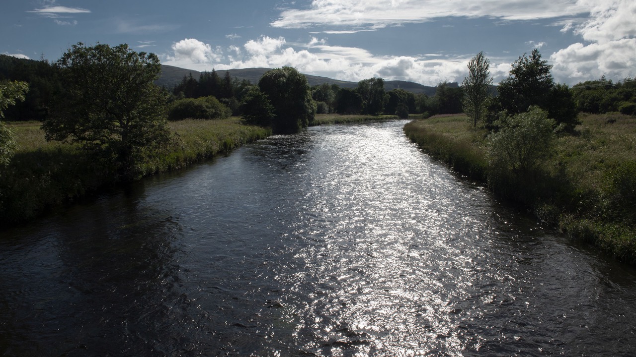 Photo of Others in Cardrona