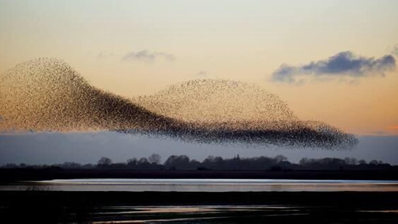 Photo of Others in Hojer