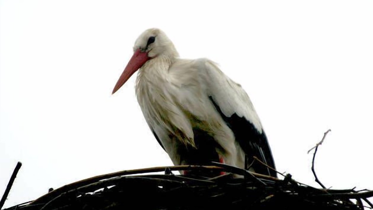 Photo of Outdoor in Hojer