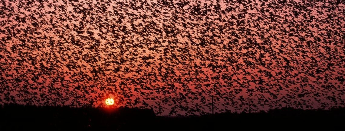 Photo of Outdoor in Hojer