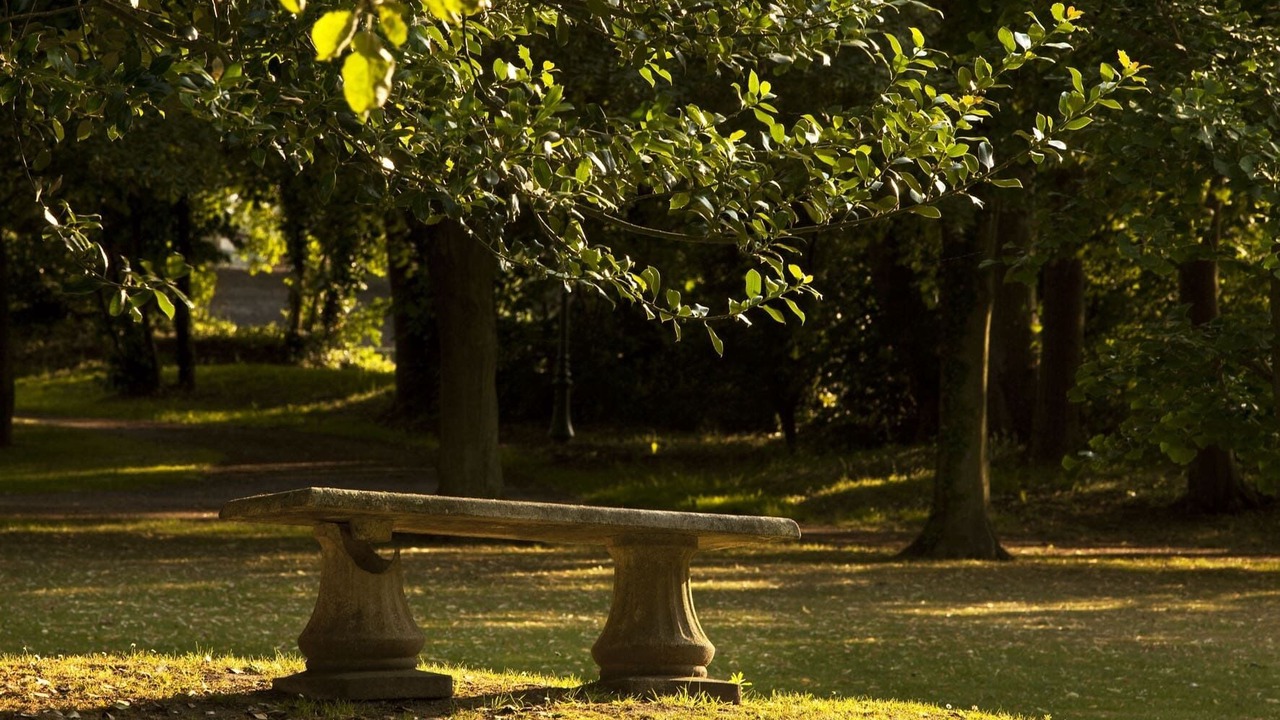 Photo of Outdoor in Gosnay