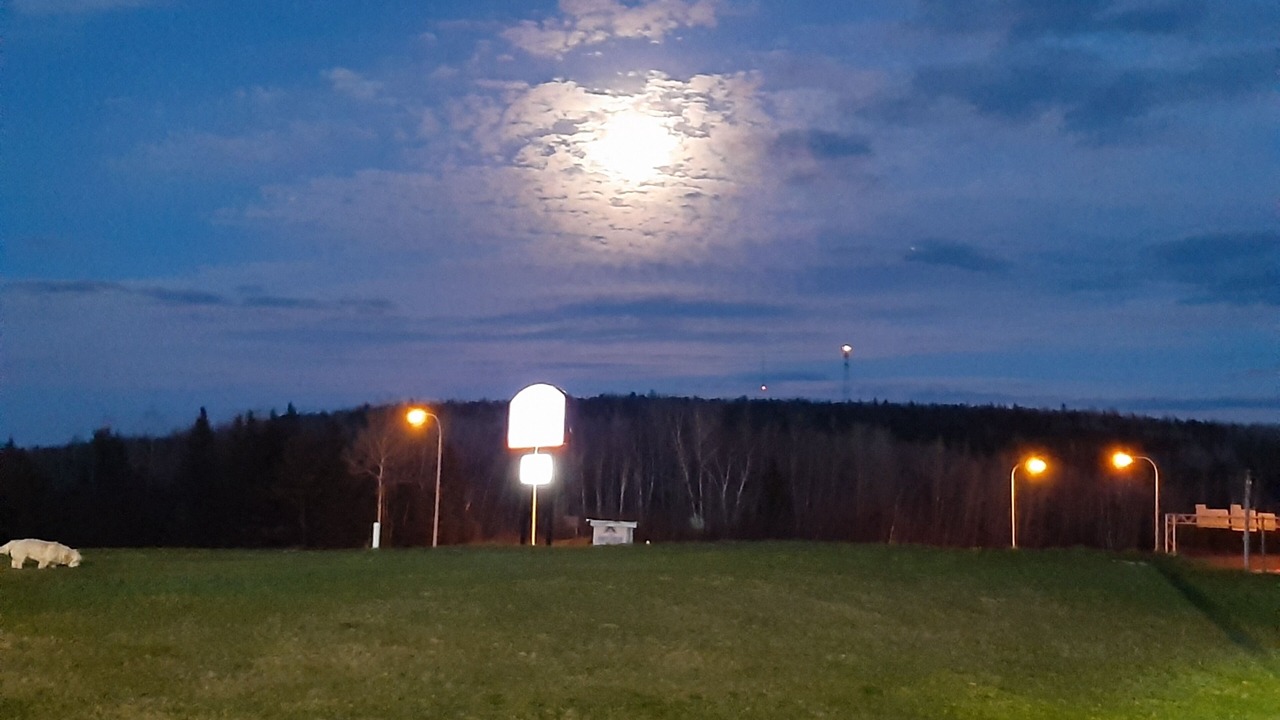 Photo of Outdoor in Woodstock
