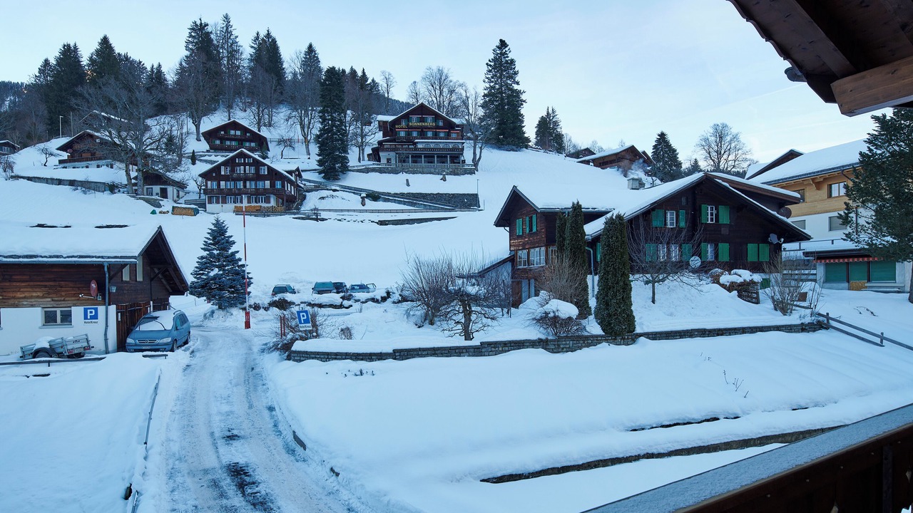 Photo of Bedroom in Grindelwald