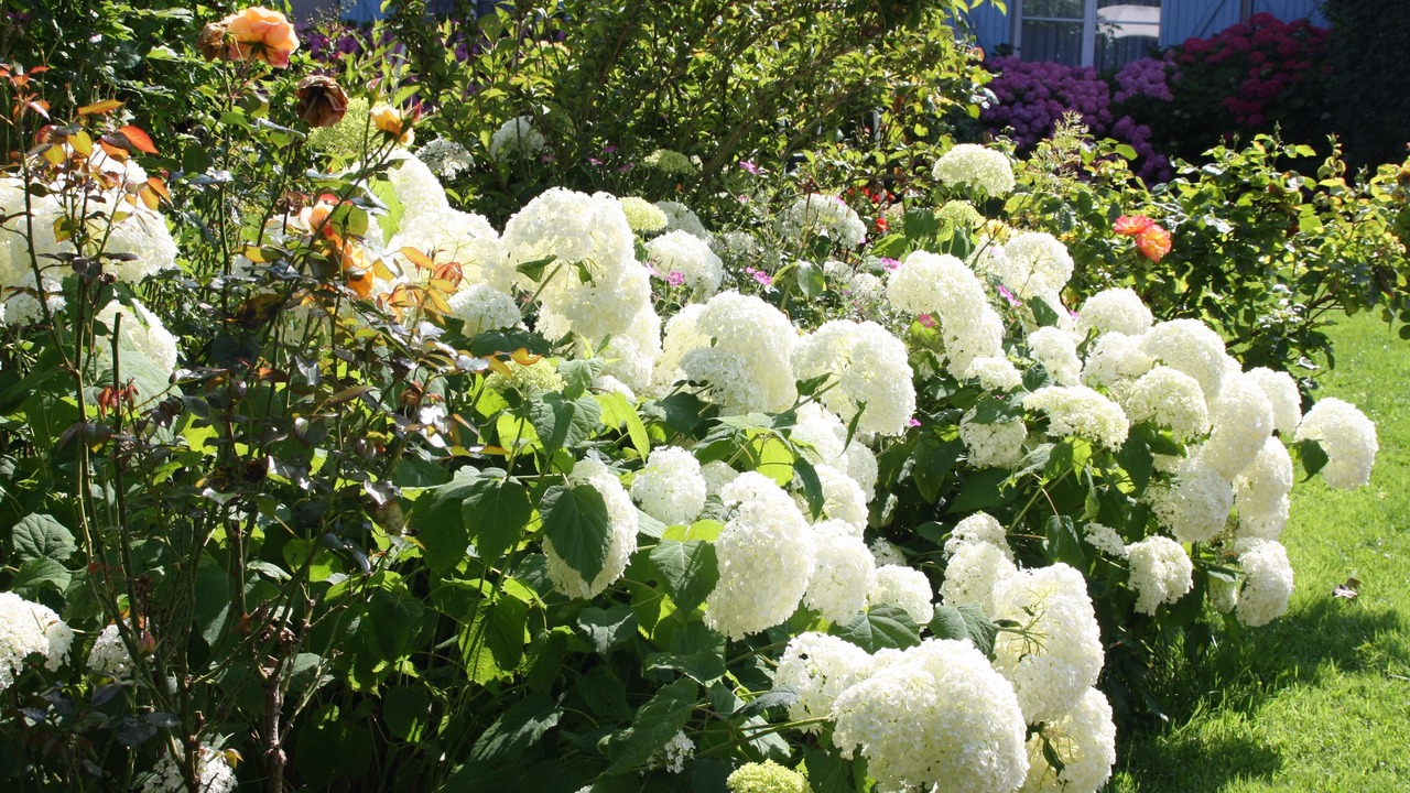 Photo of Outdoor in Saint-Martin-du-Vivier
