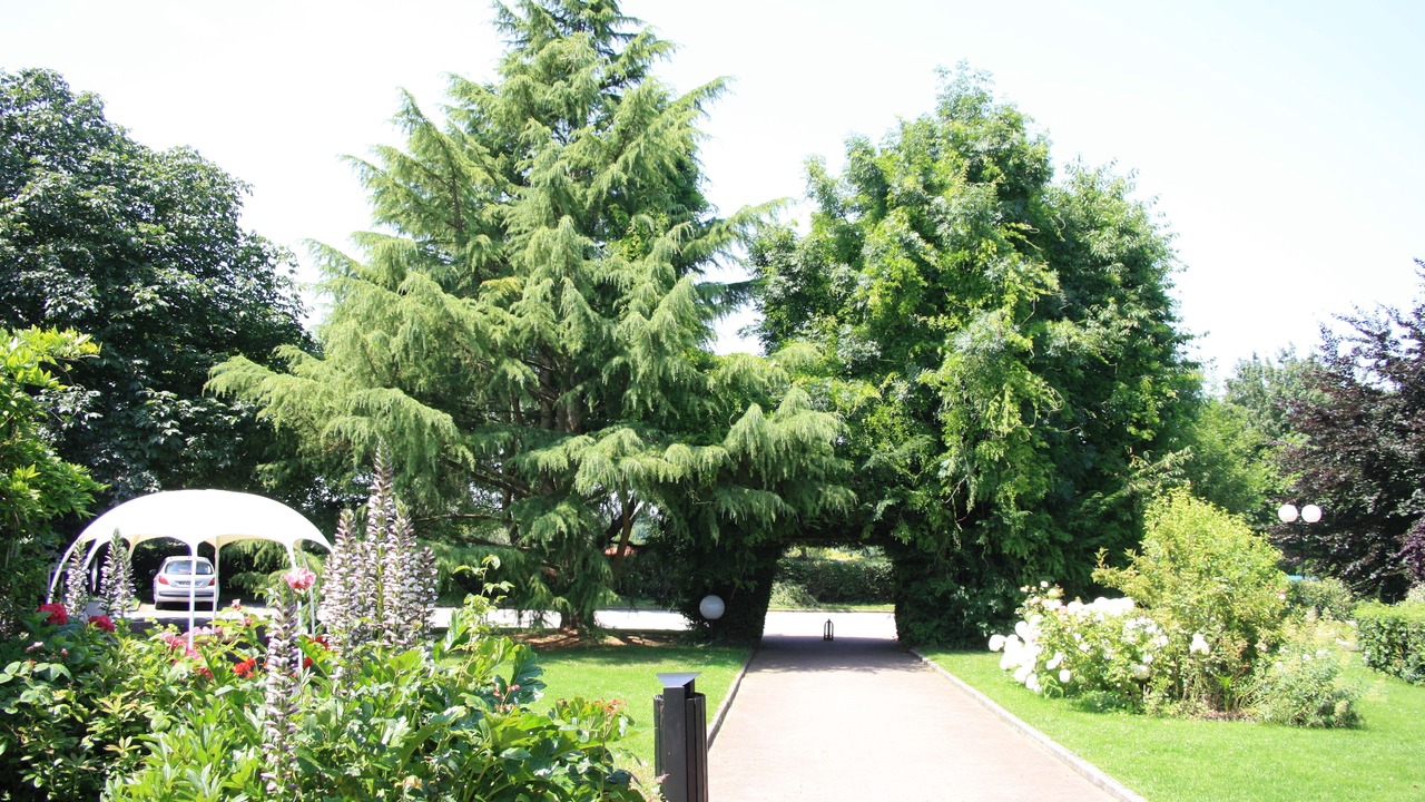 Photo of Outdoor in Saint-Martin-du-Vivier