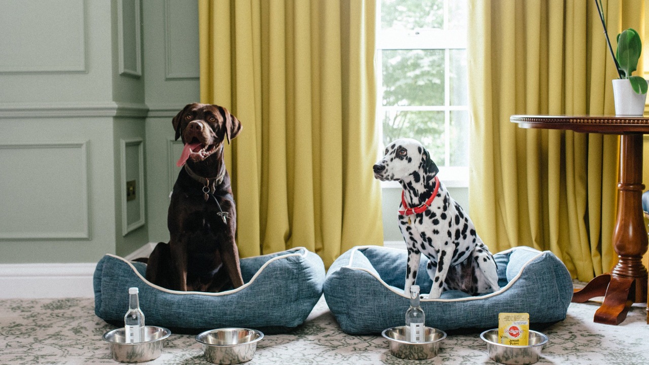 Photo of Others in Dogmersfield