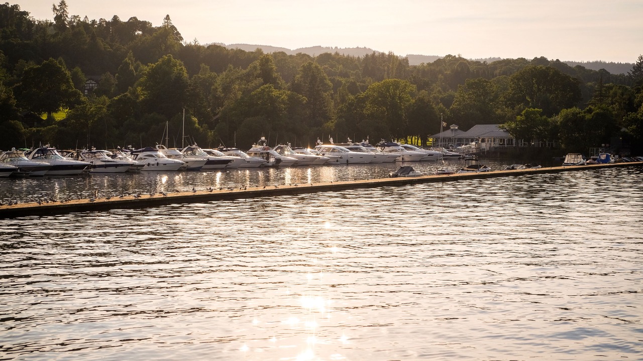 Photo of Others in Alexandria