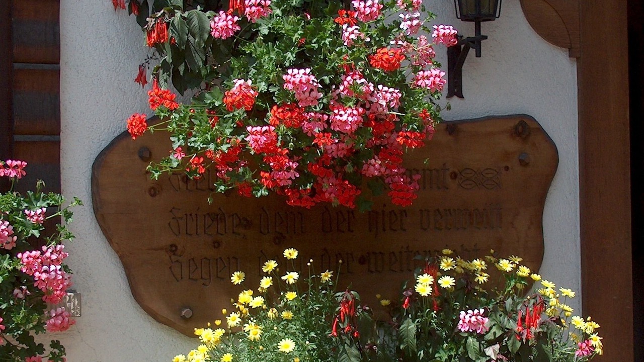 Photo of Outdoor in Grindelwald