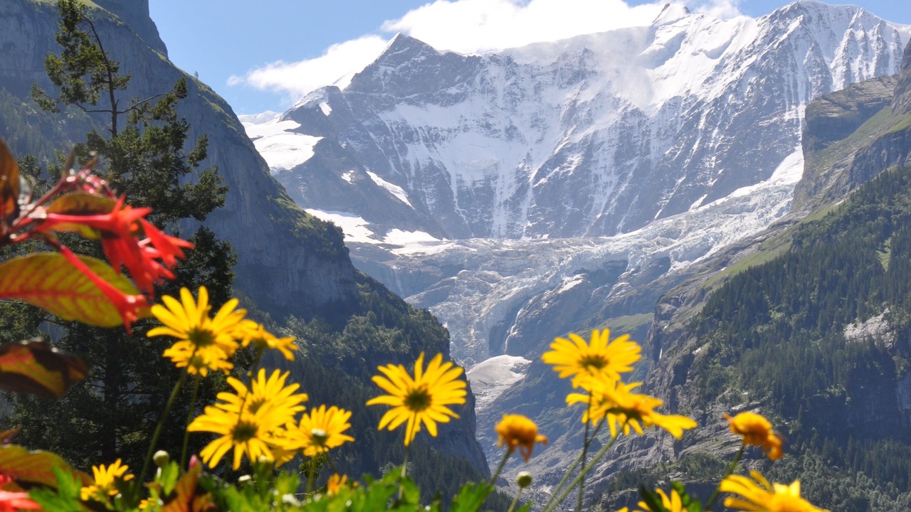 Photo of Outdoor in Grindelwald