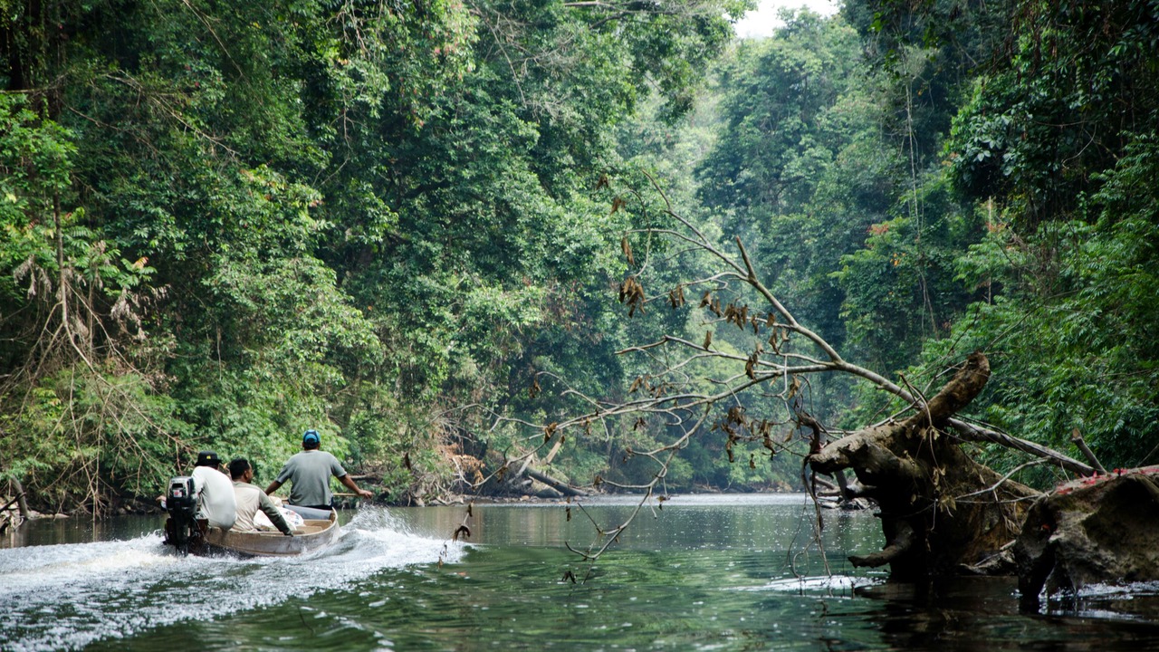 Photo of Others in Kuala Tahan