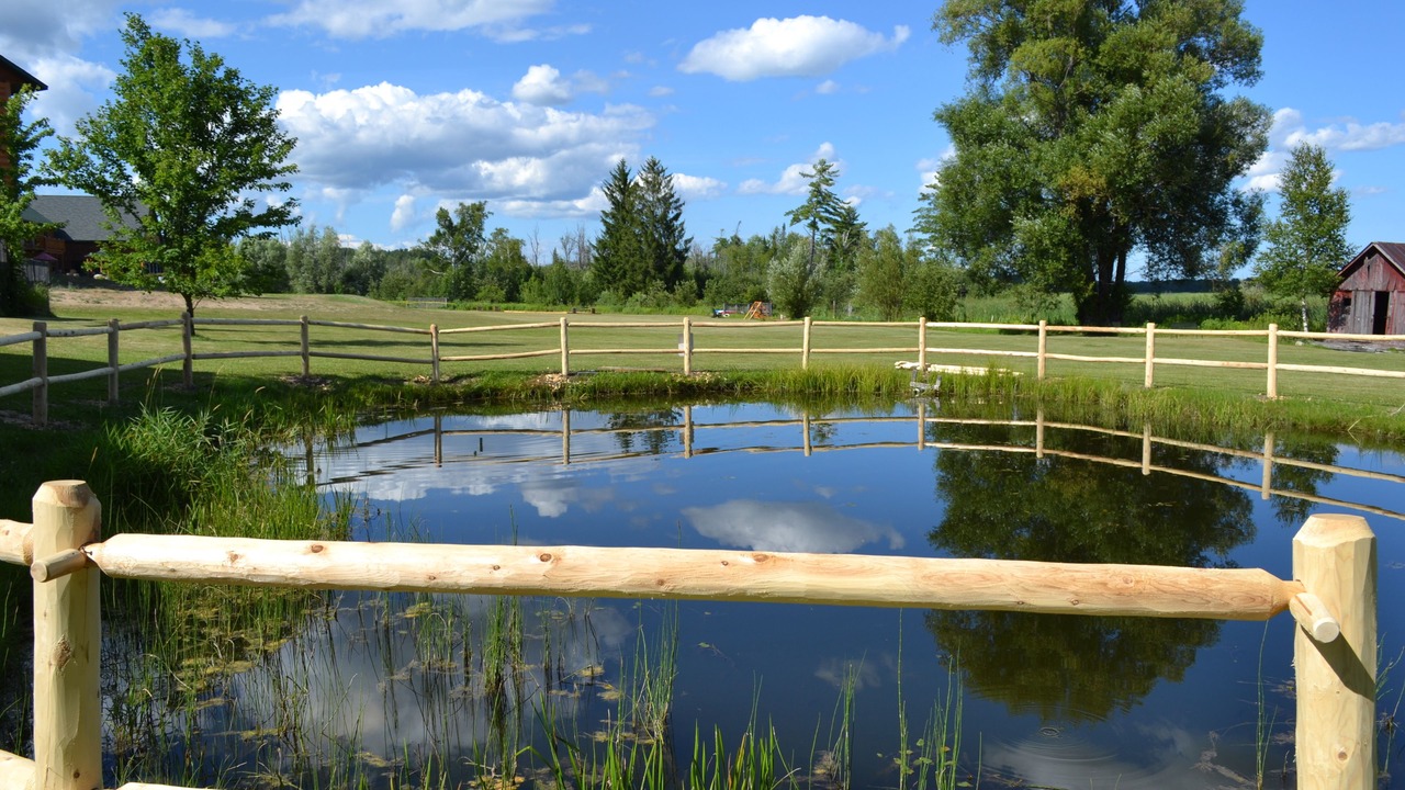 Photo of Outdoor in Alanson