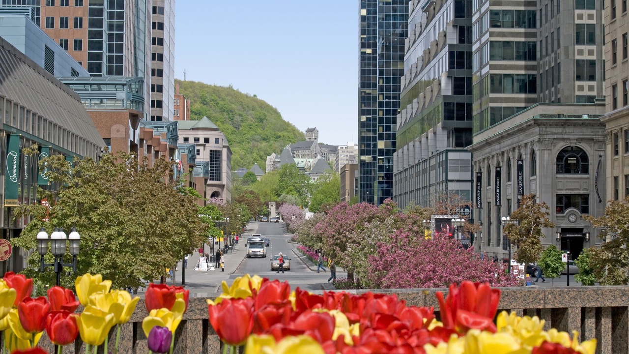 Photo of Others in Mercier-Hochelaga-Maisonneuve