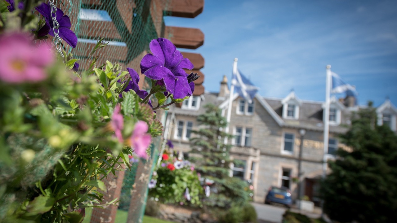 Photo of Outdoor in Nethy Bridge
