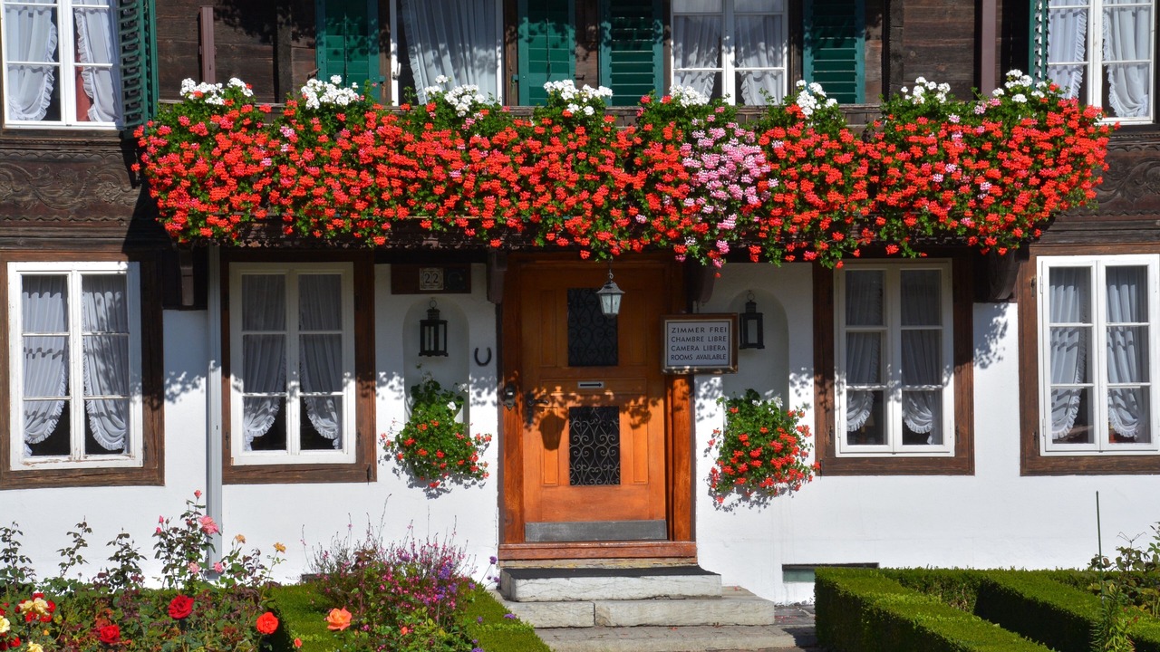 Photo of Outdoor in Unterseen