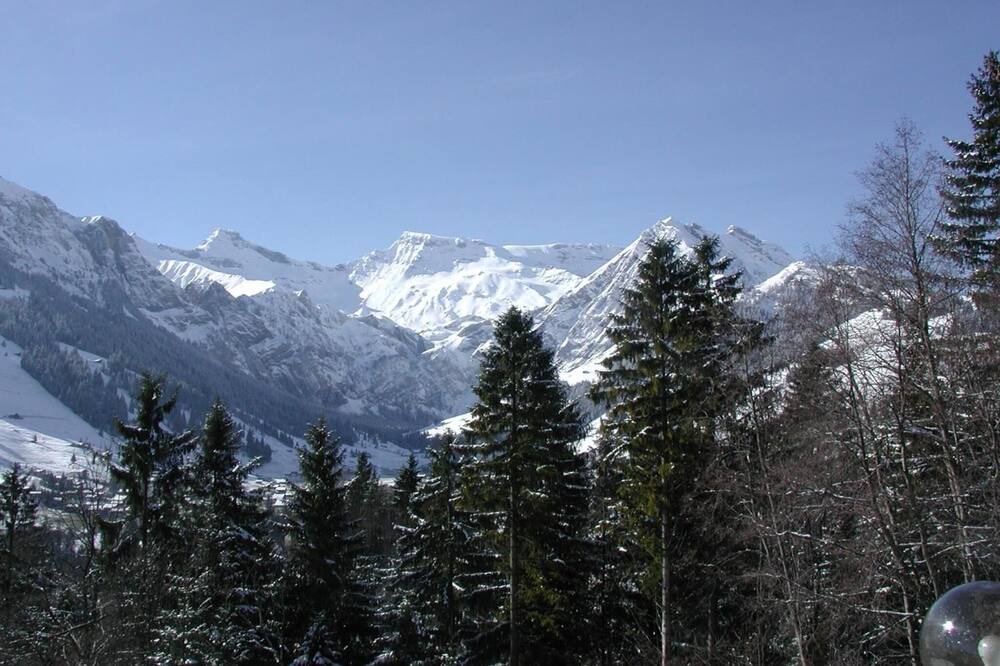 Photo of Others in Adelboden