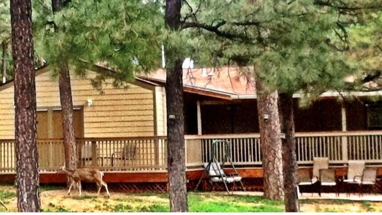 Photo of Outdoor in Ruidoso