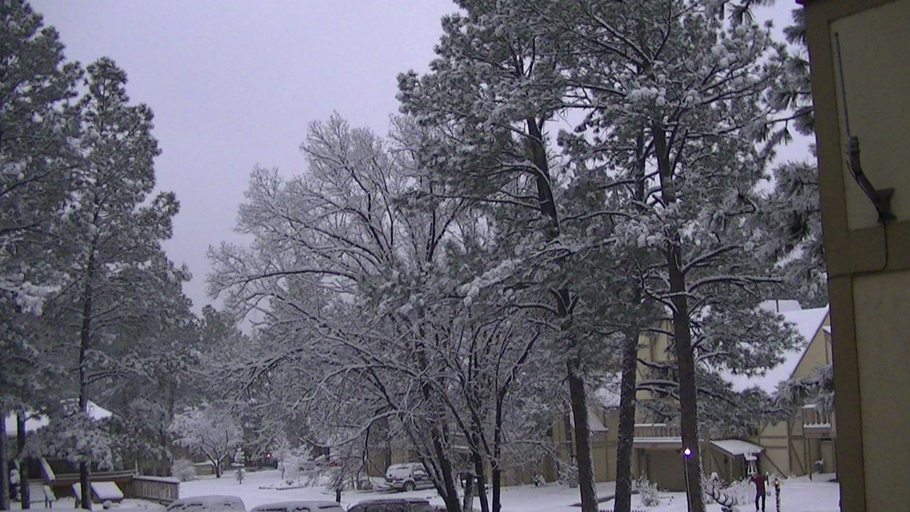 Photo of Others in Ruidoso