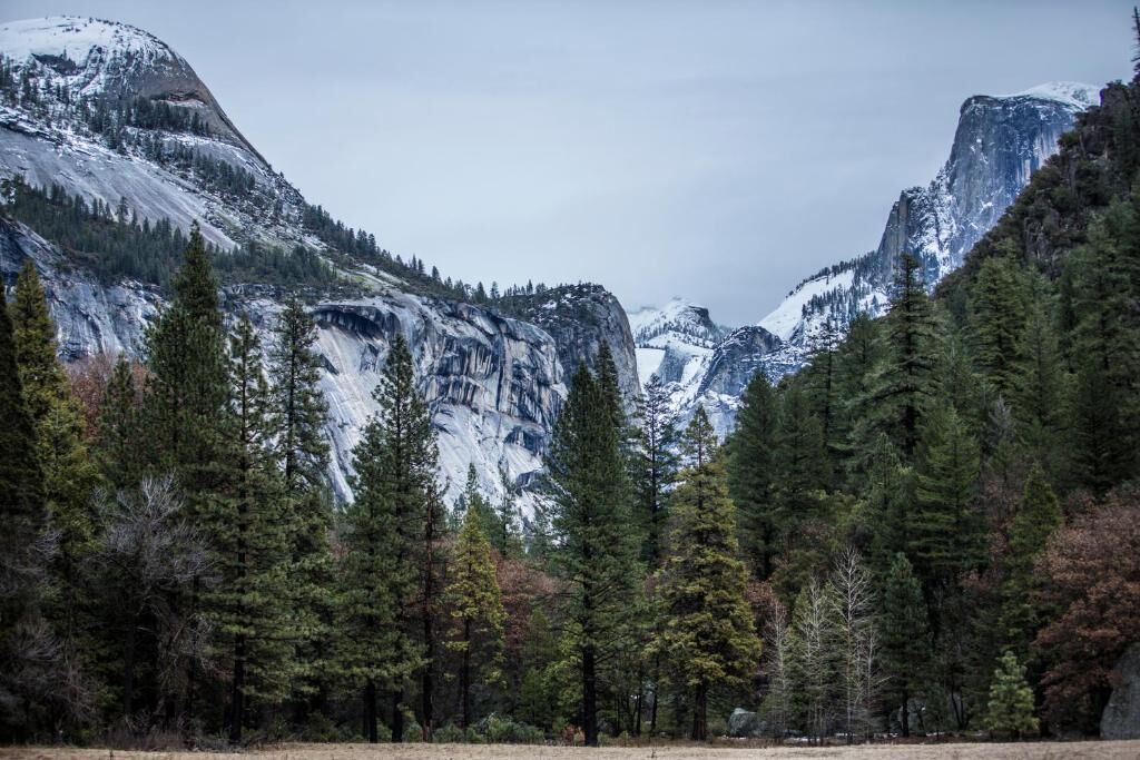 Photo of Outdoor in Yosemite Village