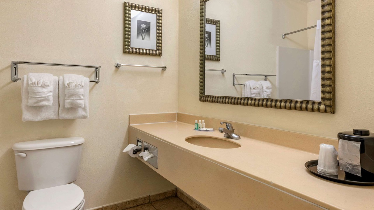 Photo of Bedroom in Zephyrhills